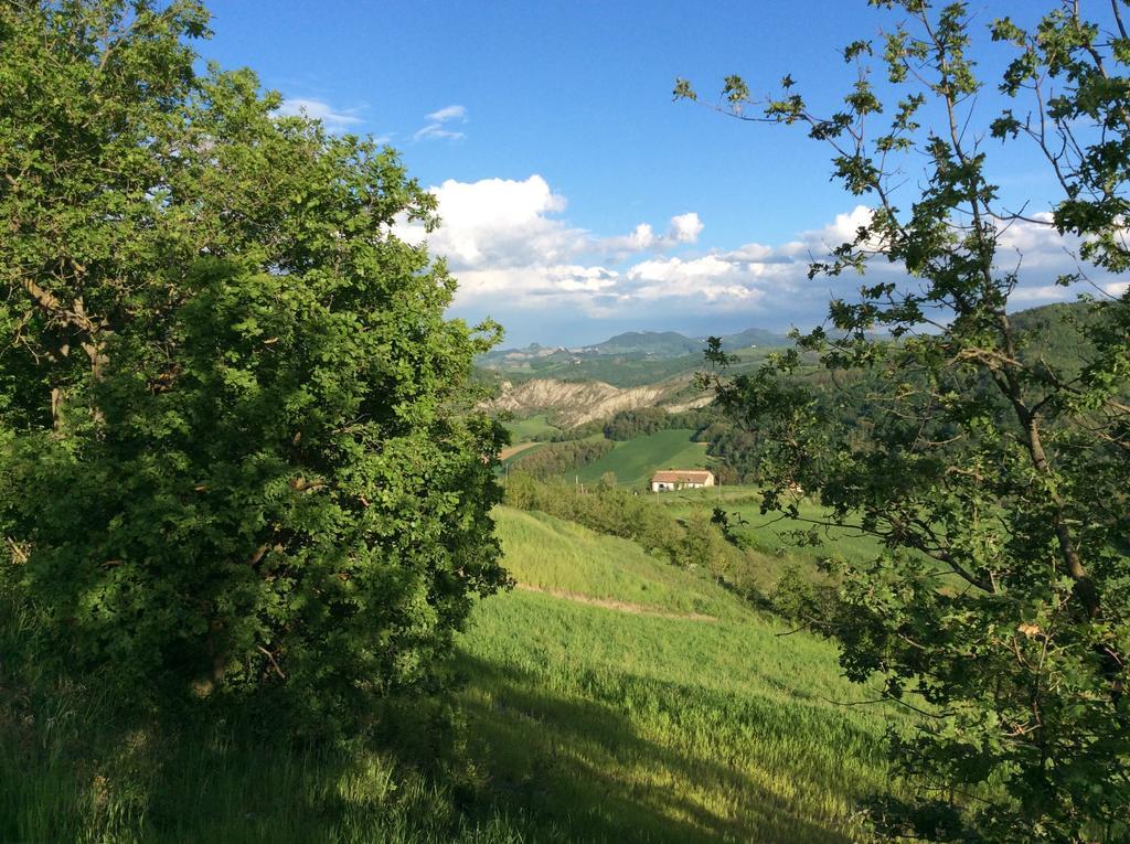 B&B Villa Rossana Langhirano Luaran gambar