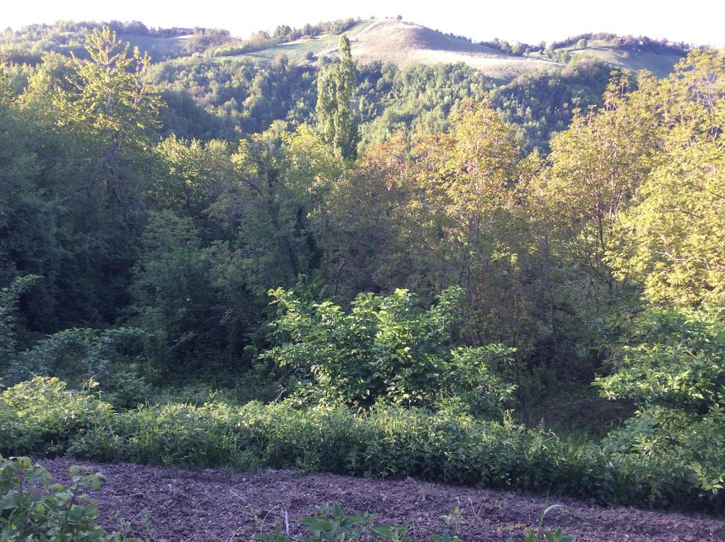 B&B Villa Rossana Langhirano Luaran gambar